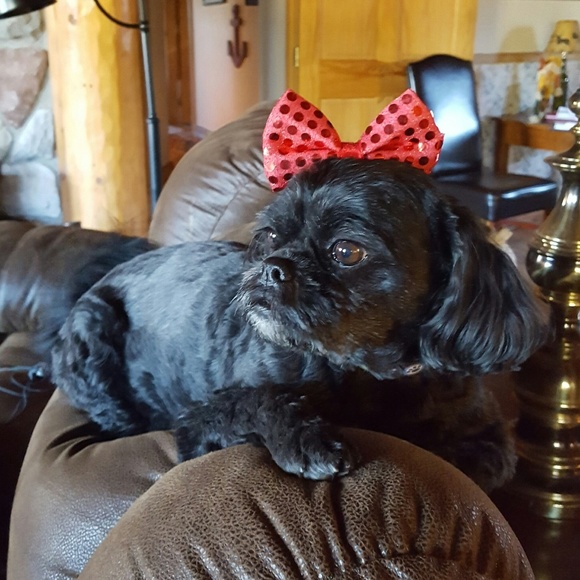 Meet your Posher, Billie - Picture 1 of 1